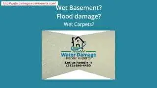 Wet Basement,Wet Carpet repair,Markham,IL  (312) 646-4460 Emergency Services