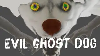 Evil Ghost Dog - Vietnam's Horror Story About White Dogs With Red Nose