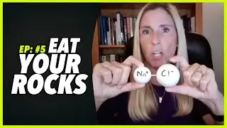 SALT IN YOUR DIET IS TRYING TO KILL YOU - UNDERSTANDING SALTY SCIENCE by Sheryl Fox