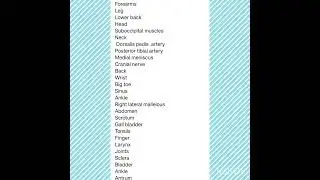 Common used body parts in OET listening samples Part A for Nurses and Doctors