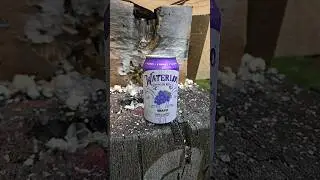 FULLY AUTO BB GUN VS GRAPE WATERLOO