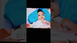 #sandwanam