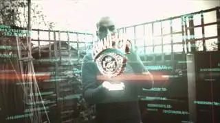 E&D TV &bull; AMS - LEVELS