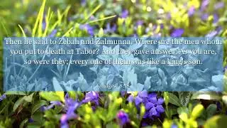 Judges 8:18 Then he said to Zebah and Zalmunna, Where are the men whom you put to death at Tabor?
