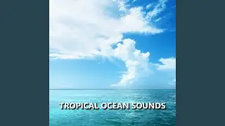 Smooth Ocean Sounds