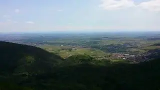 Easy blickt vom Orensfelsen &uuml;bers Trifelsland