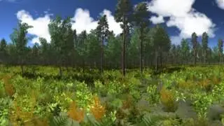 Forest Panorama 360&deg;