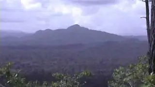 Cockscomb, Belize. Белиз, заповедник Кокскомб (275sp)