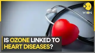 New Study: Ozone related with rising hospitalisation for health disease | Latest World News | WION