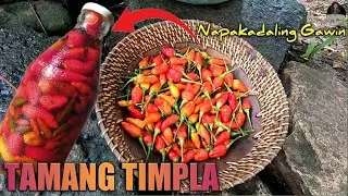 GANITO KADALI GUMAWA NG MASARAP NA SUKANG MAANGHANG