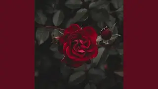 Infinity (Instrumental)