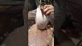 Traditional Rohu fish cutting #shorts #cuttingskills