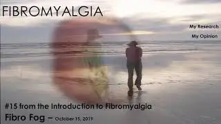 Fibro Fog