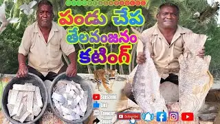 తేలవంజనం పండు చేప కటింగ్ #BT dryfish video #best dryfish #dryfish cutting #viral dryfish cutting 👍👌