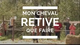 D&eacute;verrouiller les secrets du calme : Transformez votre cheval r&eacute;actif avec des strat&eacute;gies &eacute;prouv&eacute;es
