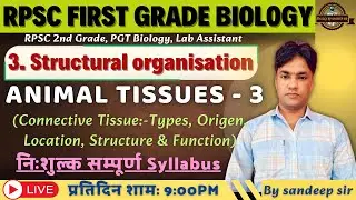 RPSC 1st Grade Biology 2025 | Structural Organization In Animal & Plants | Animal Tissues Part -3