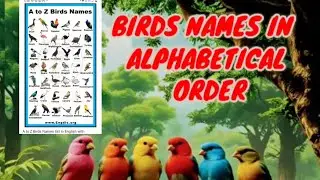 Birds Names|Alphabeticalorder|Birdsforkids|BirdsPictures