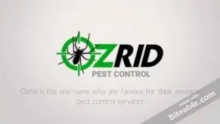 Affordable Commercial Pest Control Brisbane