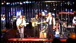 The RETRO ROCKERS - 'It's My Life' - (Animals Cover)