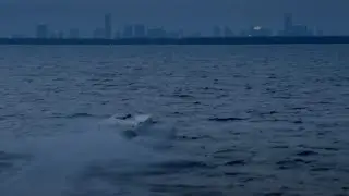 Miami Vice (2006) movie scene | 