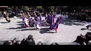 うふふ　1st 初詣ダイコク市よさこい奉納演舞　出雲大社相模分祠