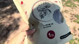 Bevan Farm Review Of GRUBTERRA Dried Black Soldier Fly Larvae Treats For Our Chickens!