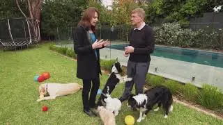 Aussie Dog Products Pooches At Play Episode 6