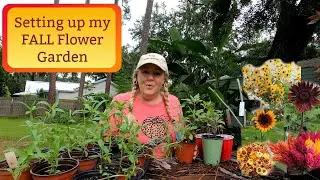 Setting up my Fall FLOWER display garden!