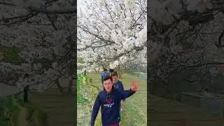 well com to gilgit baltistan #shortvideo #uff