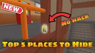 Top 5 bug & A place to hide  - Hide online - version: 4.6.1