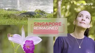 Singapore Reimagined: City in Nature