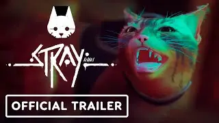 Stray - Official Launch Trailer