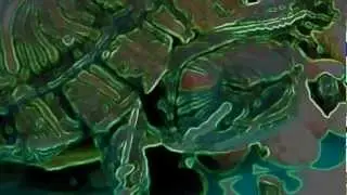 SILENT TURTLE!  (SILENT FILM)