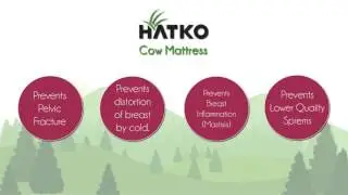 HATKO KAU&Ccedil;UK 2D INFOGRAFIK VIDEO - ENGLISH