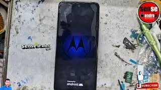 ALL MOTO 2024 FRP