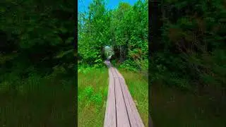 Duncan Bay Nature Preserve Cheboygan Michigan #Michigan