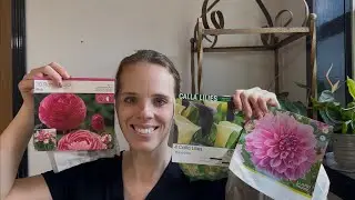 Menards Spring Tuber Haul! | Simply Bloom