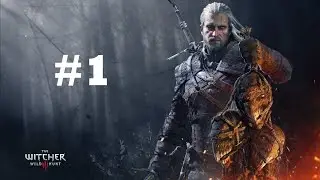 The Witcher 3 - #1