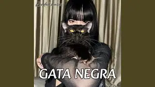 GATA NEGRA
