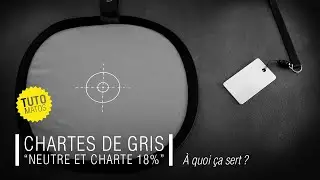 CHARTES DE GRIS 