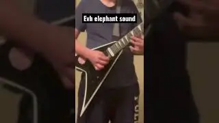 Evh elephant sound (kinda) #guitar #evh