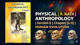 PHYSICAL ANTHROPOLOGY | P. NATH | Section E | Chapter (4-6)  | HUMAN EVOLUTION