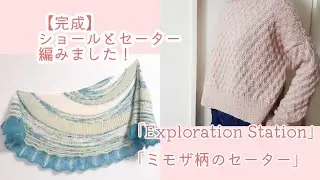 【完成】スティーブンExploration Stationショール&ミモザ柄のセーター