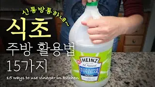 [친환경] 백식초 100% 활용하기! 식초청소법 15가지 // 15 ways to use white vinegar for cleaning!
