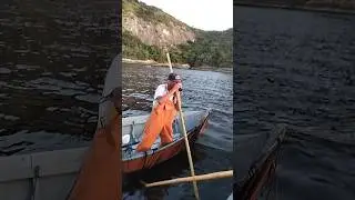 PRA CIMA #registrodevida #vidadepescador #pescacombambu #fishing #barcopesqueiro #viralvideo
