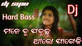 Mane Tu Paduchuu Aalo Pageli Odia DJ ll Human Sagar Sed Song Dj
