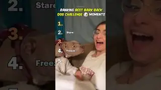 Рейтинг лучших моментов в Bark Back Dog Challenge