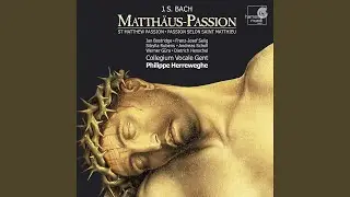 Matthäus-Passion, BWV 244, Zweiter Teil: No. 65, Aria 