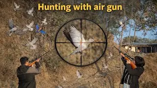 Hunting with Air Gun | Aaj Sikar Nahi Ho Saka | Honest Vlog  | Bird hunting in Pakistan