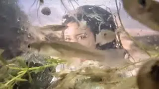 🫙💥💔, Chaos of Freeze and Melt | Mini aquarium#0712